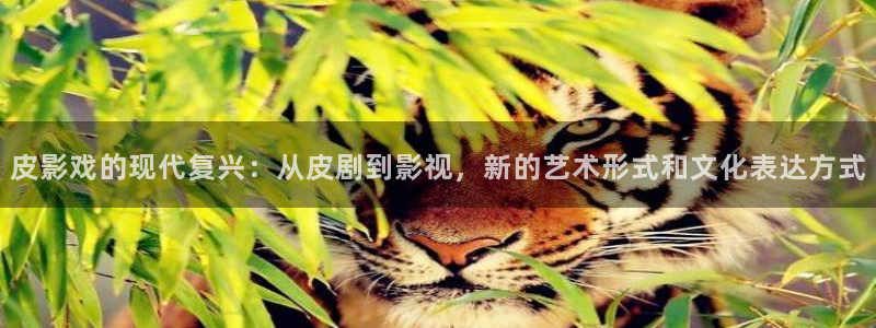 超碰野外：皮影戏的现代复兴：从皮剧到影视，新的艺术形式和文化表达方式