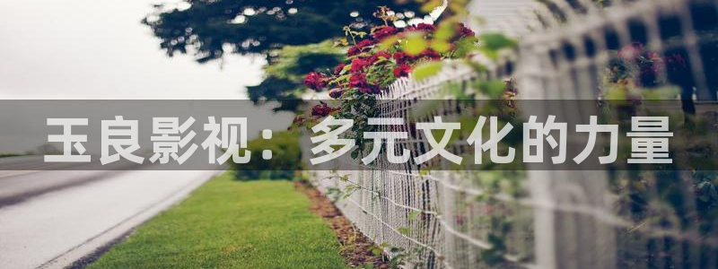 逼超碰