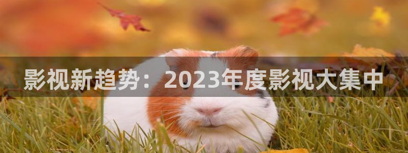 超碰在线最新地址：影视新趋势：2023年度影视大集中