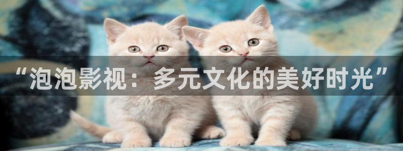 超碰97在线人妻